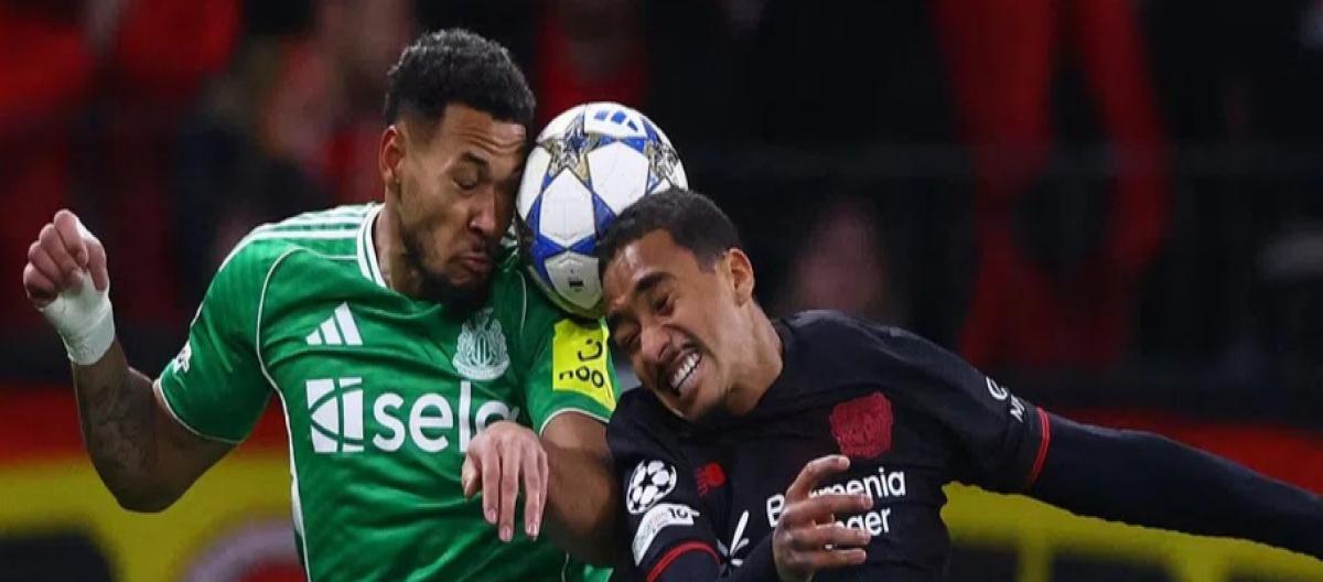 2026体育平台导航 - 注册送38元体验金 2026体育平台导航 - 注册送38元体验金