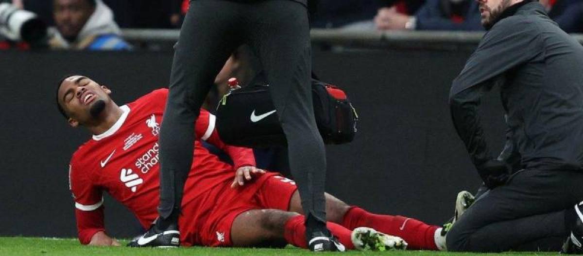 2026体育平台导航 - 8868中国体育