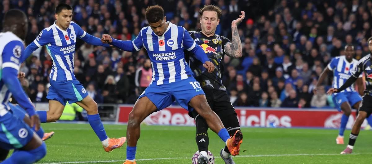 2026体育平台导航 - maxbetx下载